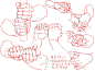 【#绘画素材# 】拿着刀剑武器等道具的手怎么画？看这里，超细致的持械手部动态素材！来自画师0033（pid=59317)

更多打斗动作素材+手部素材包下载戳：O网页链接（或加群487544820） ​​​​
