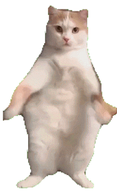 彡孤ヾ忆采集到Gif