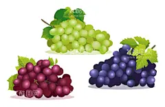 卡通葡萄  - 源文件下载【酷图网】卡通葡萄素材,葡萄,青葡萄,海报,广告,水果,瓶贴,可爱,宣传,基地,葡萄素材,图片,包装,美味,新鲜,卡通葡萄,插画,插图,素材,元素,矢量,卡通,手绘,手绘葡萄,标志,logo,简约,图案,图标,葡萄插画,儿童绘本,矢量葡萄,卡通水果,葡萄酒,紫葡萄,红酒,葡萄汁,果汁,美食,3D,渐变,立体