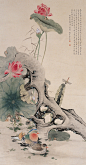 图片、荷花、牡丹、中国风、水墨、水墨画、中国艺术、中国画