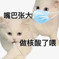表情包