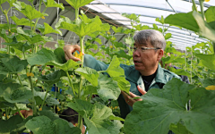 Oz南兮zO采集到乡村振兴