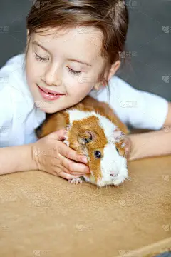 一个笑容满面的小女孩抱着红豚鼠的画像。可爱的小孩玩宠物游戏，待在家里隔离小孩.