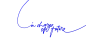 Annual report of the Fund