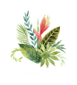 水彩 花圈 热带雨林 动物 植物 鸟类 烈火鸟 冰淇淋 PNG免抠图 bouquet 2