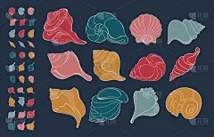 海贝。一套卡通外壳。手绘海螺。矢量插图。