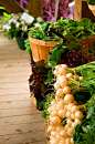 veggies from the farm garden