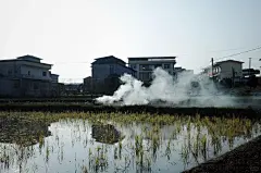 田间散步影像 - 小红书