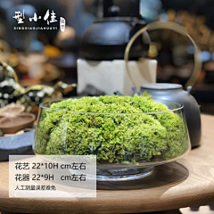 Yangzi-66采集到花艺