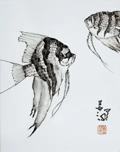 书画名家 (杨善深 )