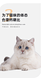 【亿迪猫粮】亿迪猫粮自营幼猫猫粮奶糕成猫通用5kg全价猫粮【行情 报价 价格 评测】-京东