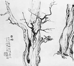 young588采集到国画