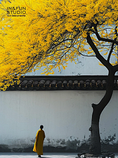 漩涡/xuanwo采集到未命名画板(2)