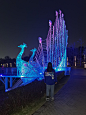 深圳人才公园夜景摄影照片