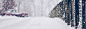 冬天,雪景,冬季,女装,雪花,女鞋,海报banner,浪漫,梦幻图库,png图片,,图片素材,背景素材,124762北坤人素材