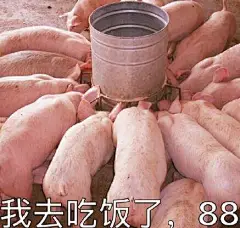 长得好看有什么用
宝宝长得这么好看
你们还是要吃我
右下角已阅
#帮找表情包原图# ​​​​