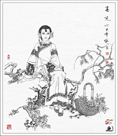 Z_东方米采集到白描