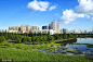 VCG214006f1cd7
