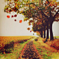  
全球顶尖摄影：如有来生，我愿为树，一叶之灵，窥尽全秋。



