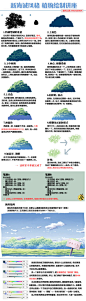 【小葵自翻】新海诚风格植物绘制教程