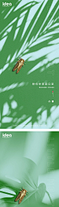 小暑