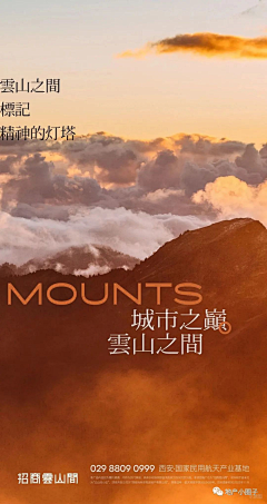别挡着我发光啊采集到版式 - 系列海报