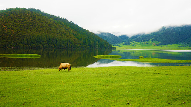 草坪 山 湖泊