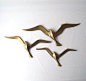 mid-century Brass Seagull Wall Hangings: 