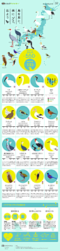 鳥を見に旅に出よう　 トリップアドバイザーのインフォグラフィックスで世界の旅が見える