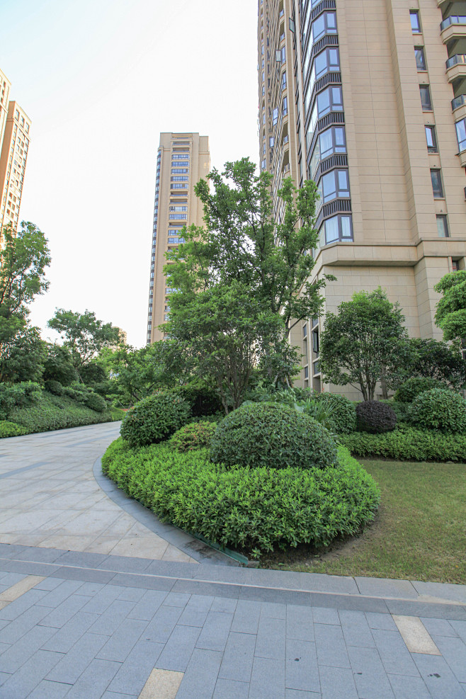 龙湖春江彼岸实景照片-52