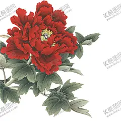 牡丹花 【酷图网】牡丹花,牡丹花素材,牡丹花元素,牡丹花背景,牡丹花底纹,牡丹花封面,牡丹花标志,牡丹,牡丹素材,牡丹元素,牡丹背景,牡丹海报,牡丹封面,牡丹工笔画,牡丹花工笔画,牡丹油画,牡丹花油画,牡丹花摄影,牡丹花剪影,金色牡丹,金色牡丹花,牡丹花花瓣,牡丹花瓣,牡丹剪影,国画牡丹,牡丹花国画