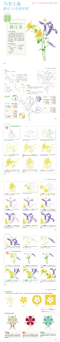 色铅笔技法教程-选自《当花卉遇见色铅笔》一书