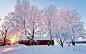 #nature, #trees, #sunrise, #snow | Wallpaper No. 36832 - wallhaven.cc