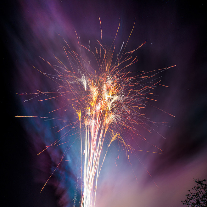 Firework Art : Firew...