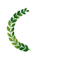 橄榄枝
