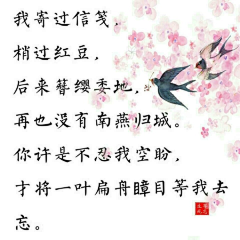 相儒以沫2017采集到唯美