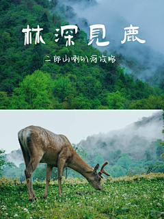 橘枳子采集到喇叭河