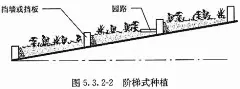 采用台阶式种植
