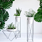 interesting modern containers and stands: 