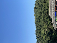 木兰止水采集到【旅行】泰山2024.6.27