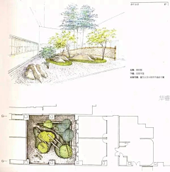 从头学设计采集到平面形式—园林