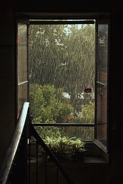 MRLEE丶L采集到雨