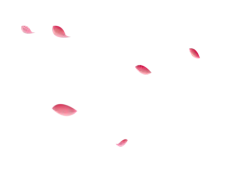 玫瑰花瓣#落叶#花朵png#素材#漂浮