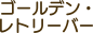 卡通猫狗元素剪贴画图标LOGO手绘素材印花免抠PNG图案 AI矢量素材 (23)