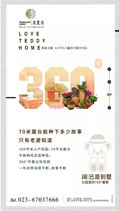落落是猫咪采集到2019