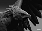 Haast Eagle, Daniel Cockersell : Here are some quick ZBrush renders of the Haast Eagle, so you can see some of the details.
The project was for a private commission which was sculpted at Weta Workshop. The end result was a large bronze sculpture of a Haas