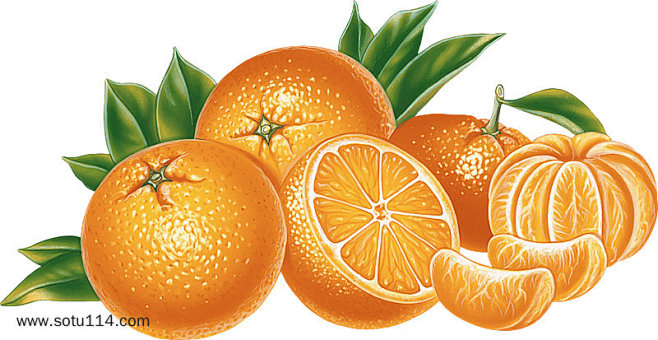 手绘一堆橙子