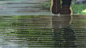 Anime 1920x1080 anime The Garden of Words Makoto Shinkai  rain