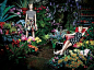爱丽丝 + 奥利维亚 (Alice + Olivia) 2014春夏女装广告大片