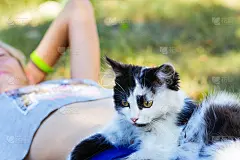 散焦金发小女孩和小猫躺在草地上，黑白相间的可爱小猫咪用黄色的眼睛特写。大自然绿色的夏日背景。女孩抚摸